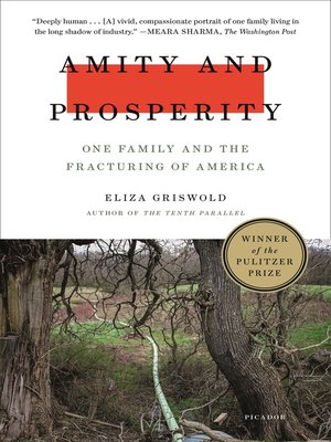 cover image of Amity and Prosperity